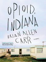 Opioid, Indiana